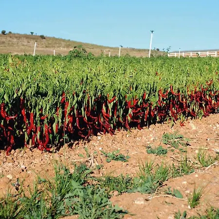 Apartment Turistico La Ribera Riolobos