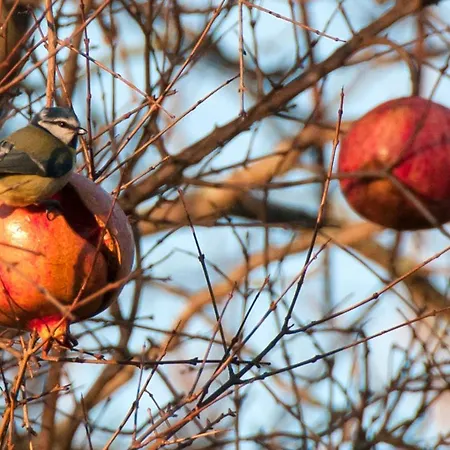 Turistico La Ribera * Riolobos