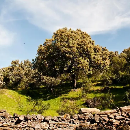 Apartment Turistico La Ribera *