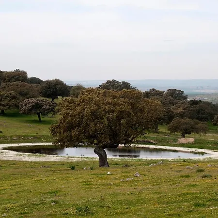 Apartment Turistico La Ribera Riolobos