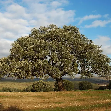 Turistico La Ribera Riolobos