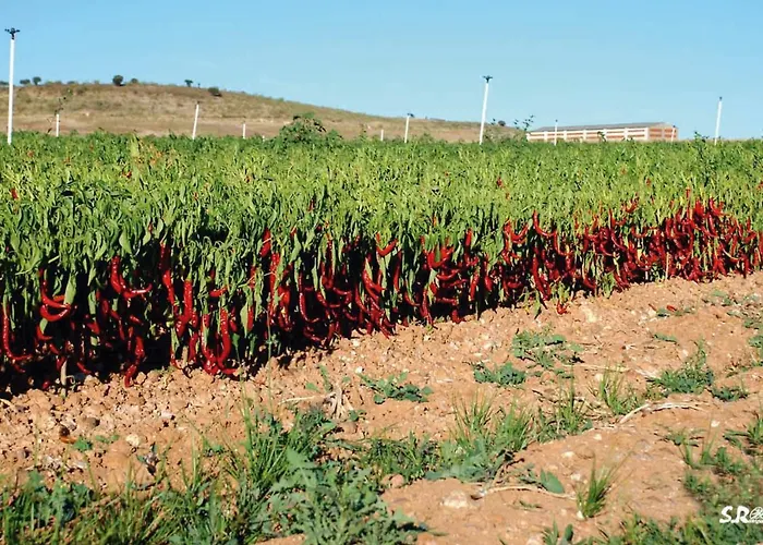 Appartamento Turistico La Ribera Ríolobos