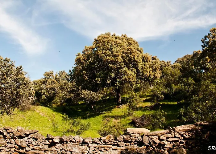 Apartmán Turistico La Ribera *
