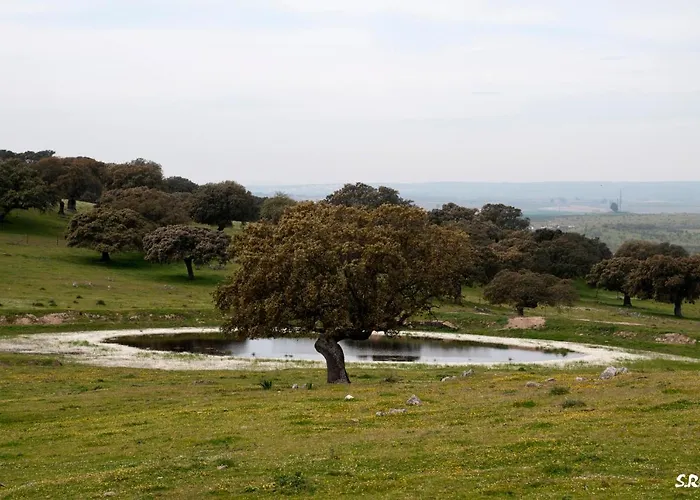 Appartamento Turistico La Ribera Ríolobos