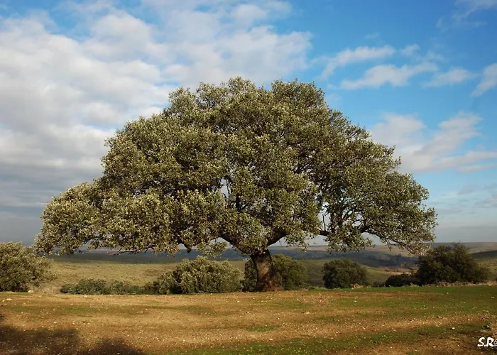 Turistico La Ribera Ríolobos